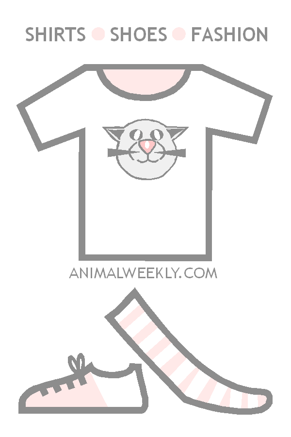 Animal Weekly - Shirts, Shoes, Socks, Fashion