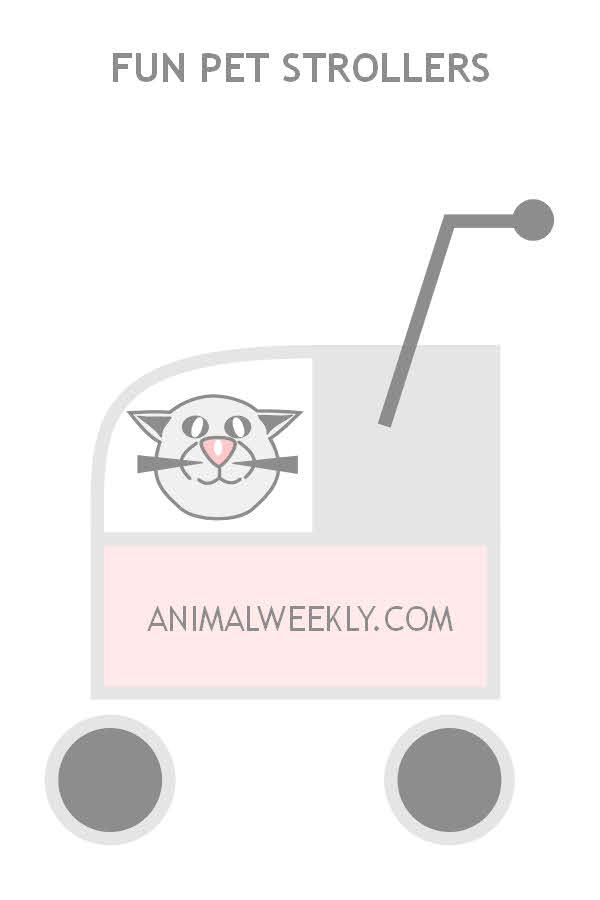AnimalWeekly.com - Pet Strollers