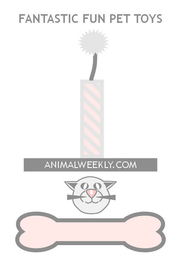 Animal Weekly - Pet Toys